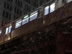 겨울을 나고 봄이라는 계절이 오기까지