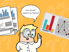 학술논문에서의 그림, 표 작성법