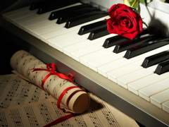 [살파랑/장경고윤] 하얀 밤을 건너서