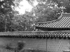 [진랩] 양반과 백정 上