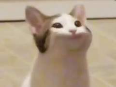 강조되고 반복되는