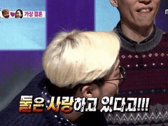 입덕작 내 커플링(만화, 애니, 게임 등)