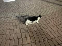 거울 (사랑에 대한 확신)