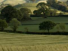 [연성 아닌 것 백업] 시리즈 안내❗