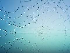 이세계와 난수와 백합인 나?!