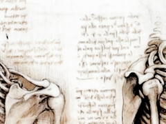 경성의학전문학교 입학 안내문