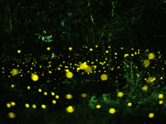 [히지오키] 구실 - 下