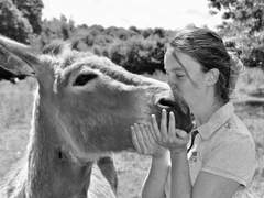 [마블/단편] 나와 나타샤와 흰 당나귀