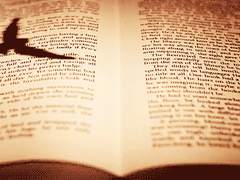 [공개]백노을◈17◈실용음악과◈23215