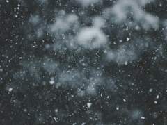 어떻게 저버릴 수 있겠어요.