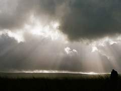 [제롬 화이트] 폭풍의 사랑