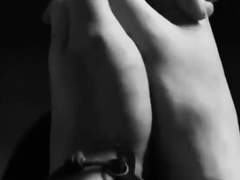 날지 못하는 것이 개의 불행은 아니다 七