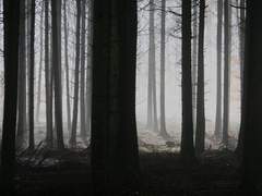 그림자가 입을 벌릴 때