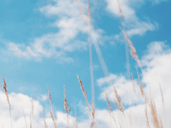 해피 메리 웨딩 데이 !