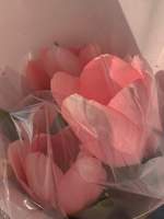 [성양] 사의 찬미