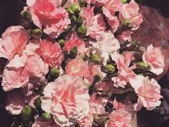 [현제유진] Love Holic 24.