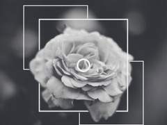 나, 그 여자 마음에 들어.