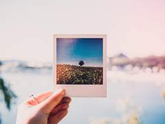 [단편/솜셏] 폴라로이드