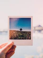 [단편/솜셏] 폴라로이드