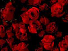 리암노엘, 앤디겜/사랑을 하고 싶다든가 1/5