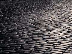 Conflicted affection