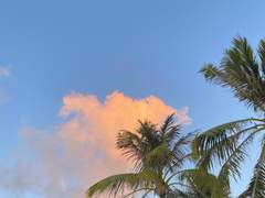 아츠오사 연성 백업 (4)