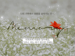 🌻 제가 여기 있어야 한다고요?