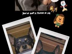 가장 소중한, 나의 오래된 작은 친구