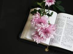 (중)🌟러닝한 커뮤🌟(요)