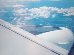 흩어지는 浪花에 만다린 한 스푼