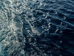 해저로월海底撈月 -上