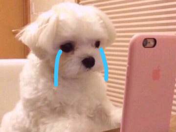 포타솔랑이들님 !