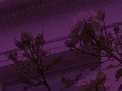 [국민/단편] Psycho