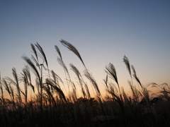 3학년 8반 우유당번