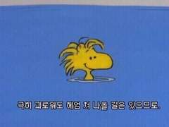 집 나간 댕댕이 찾았어요