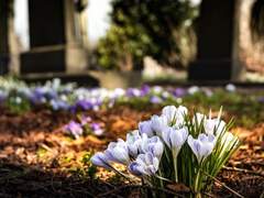 Ophelia the Gravekeeper