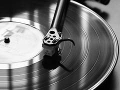 고백 대신 전해드립니다