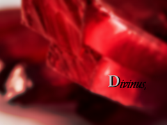 Divinus,