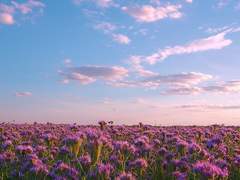 [타카긴] forever is still not enough