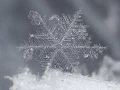 In front of your grave