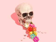 스타플릿 아카데미 신입생을 위한 안내서