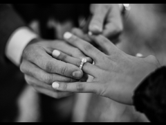 쨍하고 볕들 날