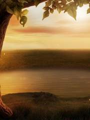 새벽을 부르는 마법