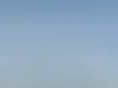 ( 토니시아 )' 안다미로 '