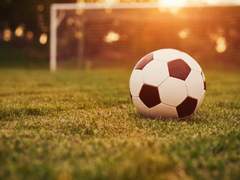 축구선수 알슼 감독 조엘