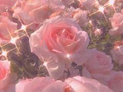 [셋링] 너와 사는 오늘