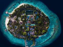 중앙 중립 센터