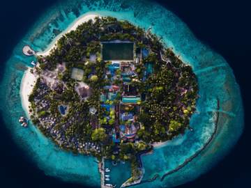 중앙 중립 센터