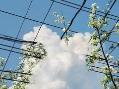 [비누/문차] 그 여름의 끝에서