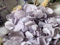 살아짐의 저변에서